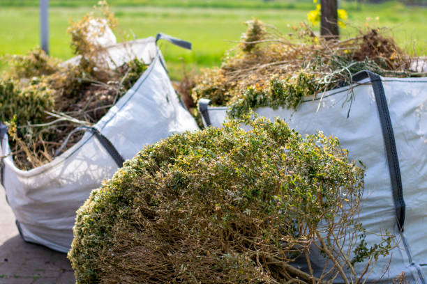 Best Garage Cleanout Services  in Plain City, UT